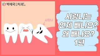 [대전치과, 대전임플란트]사랑니는 언제 빼나요? 왜 빼나요? 1편