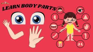 Learn Body Parts for Toddlers | Fun & Easy Learning Video for Kids #educationalvideos #kindergarten