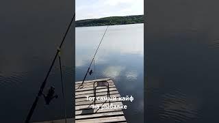 #Диктуй Клёв #Рыбалка #Кайф #Fishing #Fish #РыбалкаМояЖизнь