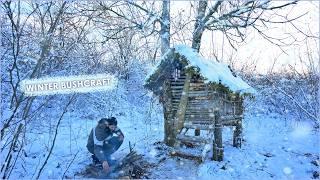 WINTER SURVIVAL in the Wilderness, Building a Cozy Bushcraft Shelter!