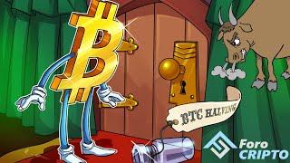  BITCOIN - BULL RUN Y HALVING ️ TE EXPLICO QUE SON Y POR QUE OCURREN 