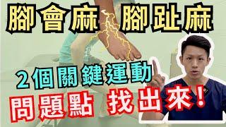 腳麻、腳趾麻怎麼辦？兩個關鍵運動在家做，物理治療伸展方法公開！Home treatment for toes and foot numbness