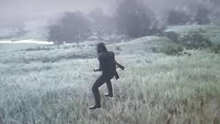 RDR2 Online, horse went invisible.