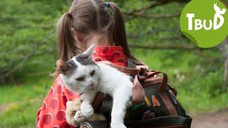 Katze in Not (Folge 87) | Tiere bis unters Dach