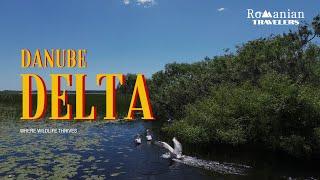 The Danube Delta: Europe's Largest Wetland. A Wildlife Haven