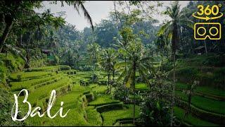 Bali - 360°