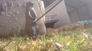 3D prairie dog archery with compound bow