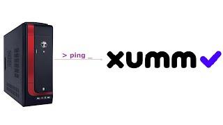 Send Ping Request To XUMM Platform and Get Application Details