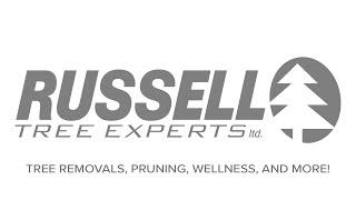 Hi, We're Russell Tree Experts!