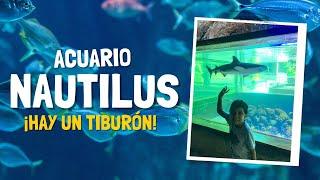 I visited the LARGEST AQUARIUM in PERU  | NAUTILUS AQUARIUM 2025 l COMPLETE TOUR with PRICES 