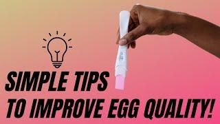 Simple Tips to Improve Egg Quality! {EXPERT ADVICE}