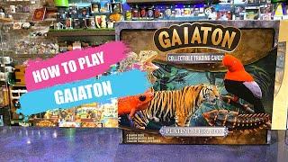 How to Play Gaiaton | Board Game Rules & Instructions