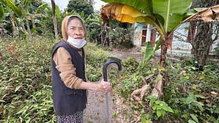 Old Woman Dreams Husband Telling Her Clean Up the House Full Weeds Where Memories Are Made