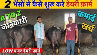 2भैसो से Dairy Farm Start कैसे करे⁉️Lakho कमाओ भैस DairyFarm Busines Plan,Low बजट भैस DairyFarm