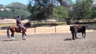 Video 1