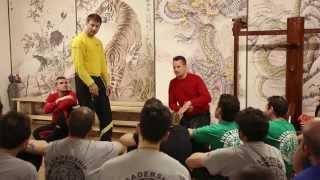 Internal Wing Chun Snake engine in action by Sifu Sergio (IWKA Wing Tjun System)