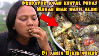 MUKBANG IKAN PREDATOR HASIL ALAM