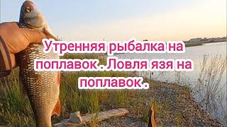 Рыбалка на поплавок на озере . Ловля язя на поплавок . Ловля язя на озере . Рыбалка 2024 . Рыбак .