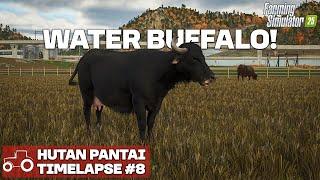 GETTING OUR FIRST WATER BUFFALOS!! Hutan Pantai FS25 Timelapse Farming Simulator 25 Ep 8