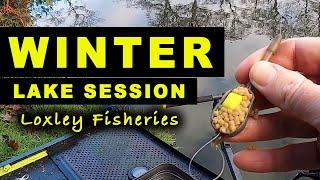 WINTER Lake Session - CARP on NEW BAITS Match Feeder Fishing