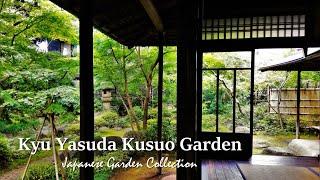 Japanese Garden& Residence built in the Taisho era in TOKYO|The Former Kusuo Yasuda House and Garden