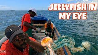 SNAPPER FISHING GONE WRONG, JELLYFISH ALMOST SENT ME TO THE HOSPITAL!!