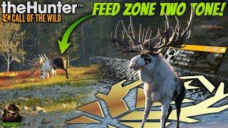 Taking The FABLED TWO TONE Great One Moose From A FEEDING ZONE! Call of the wild