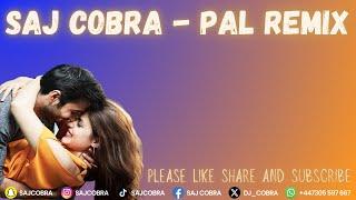 PAL | SAJ COBRA | SHREYA GHOSHAL | THE LATEST HINDI REMIX 2024