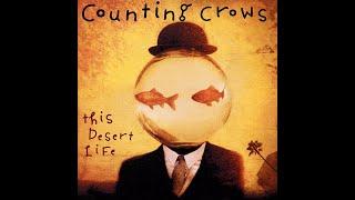 Spieglass - Counting Crows - Colorblind