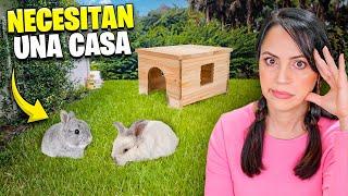 Ahora Hay Que Pensar en una Casa para los Conejitos  Sandra Cires Vlog