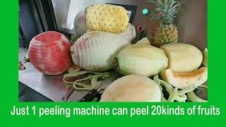 How to  make fresh cut fruits?one Peeling machine for 20kinds of fresh cut fruits