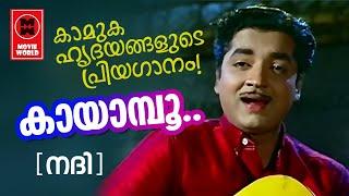 കാമുക ഹൃദയങ്ങൾ ഏറ്റുപാടിയ ഏറ്റവും മികച്ച ഗാനം | Prem Nazeer | Old Evergreen Song