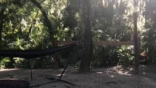 Video of Anastasia State Park, FL from Kat G.