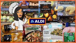 ALDI GROCERY SHOPPING HAUL SHOP WITH ME FRIENDLY SHOPPERS‼️