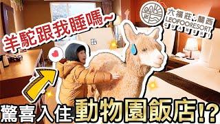 夢想成真！花萬元帶孩子入住動物園飯店...聖誕大驚喜？！ft.六福莊