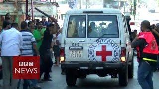 Gaza civilians attack Red Cross - BBC News