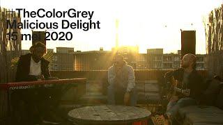 TheColorGrey — Malicious Delight (#ikluisterbelgisch live)