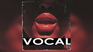 FREE DOWNLOAD VOCAL SAMPLE PACK - "vocal samples" (Travis Scott, Nardo Wick, Southside, Cubeatz)