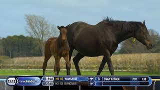 Sir Patrick Hogan on the sale of Cambridge Stud