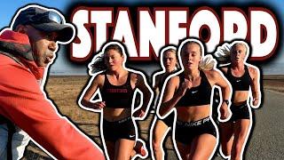 Stanford XC Workout At The Baylands