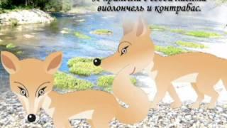 лесной концерт часть 3 .wmv