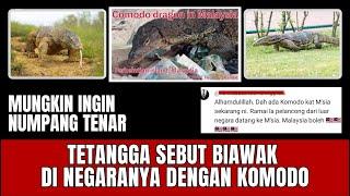 MUNGKIN INGIN NUMPANG TENAR || TETANGGA SEBUT BIAWAK DENGAN KOMODO