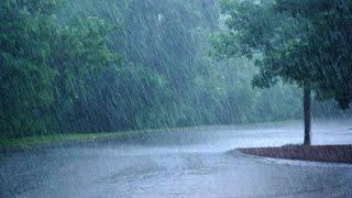 SOOTHING RAIN SOUND FOR SLEEP & RELAXATION ۞ RAIN NOISE ۞ BINAURAL BEATS