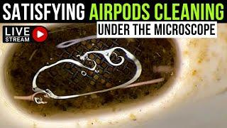 AirPods cleaning under the microscope LIVE at Phone Fix Craft