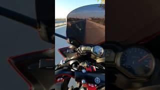 Yamaha fazer 600 S2 30-200 km/h Two Brothers Exhaust Quick Shifter Sound  #shorts