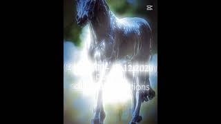 Famous horses and how they died  ||  #horse #equestrian #famous #totilas #secretariat #hickstead