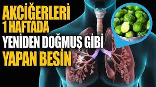 Akciğerleri 1 Haftada yeniden doğmuş gibi yapan besin