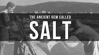 How Salt Shaped Wars, Empires, and Entire Civilizations