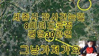 세종시 8미터 도로변 평당30만원 갑사 내흥리