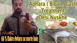 Aphara (Bloat) Treatment for goats | Bakra marne ki barhi waja | Desi nuskha  | Haider's divine goat